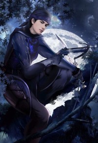 风流村医