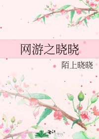 网游之晓晓