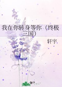 我在你轉身等你(終極三國)